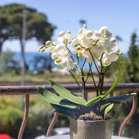 Lou Отель Жуан-ле-Пен