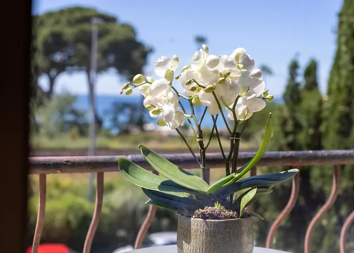 Lou Hotel Juan-les-Pins